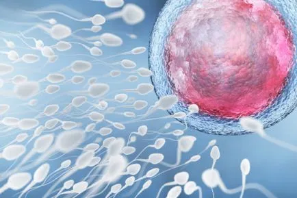 Spermotoksikoz tünetek és a kezelés, mind a mérgezés