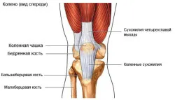 Списъкът на причините, поради които го боли коляното в флексия