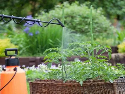 Strobe fungicid pentru a utiliza instrucțiuni video de