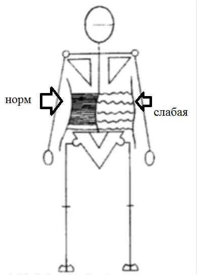 Este util să „vid“ în abdomen (un alt secret)