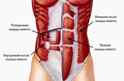 Este util să „vid“ în abdomen (un alt secret)