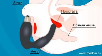 Tehnici care utilizează stimulente anale excitație de sex masculin