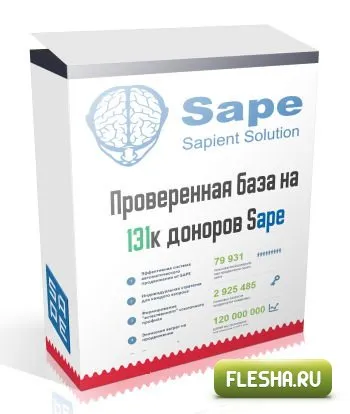 Setarea codului de pe site-ul DLE SAPE 10