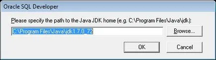 Instalarea Oracle SQL Developer