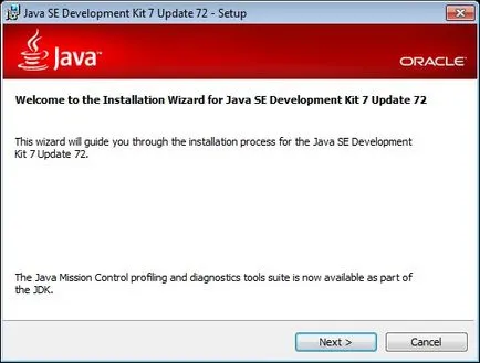 Instalarea Oracle SQL Developer