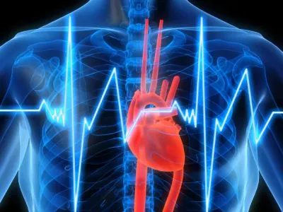 Блокада на сърцето, които показват нормални нива, обучение