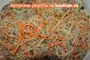 Bean vermicelli (funchoza) cu legume și carne tocată reteta cu fotografii