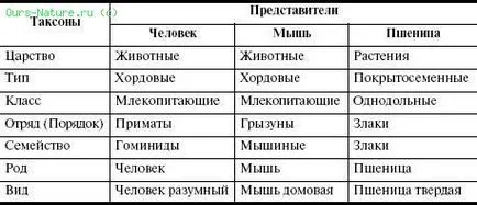 Ceea ce ne-uman (Evolution-6)