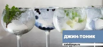 Mit ital Spanyolországban, amellett, hogy a sangria 10 legnépszerűbb ital - rendezett! oktatási program