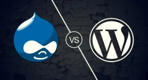 Wordpress или изберете най-добрата Drupal CMS безплатно за вашия уеб сайт