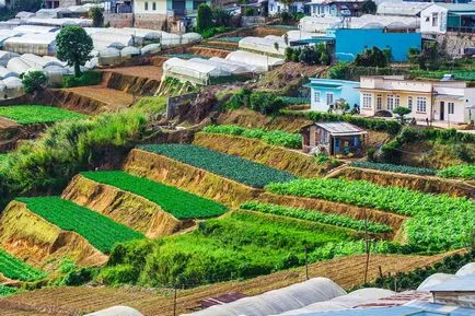 Hanoi, Nha Trang, Hue și alte stațiuni din Vietnam, hoinar