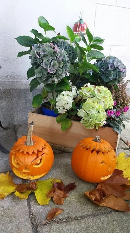 Halloween - egy esküvő, egy esküvői forgatókönyv