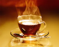 Sör tea - módszerek, receptek és szabályok tea főzése