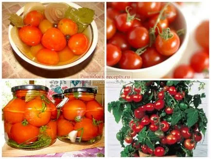 Осоляване чери домати най-добрите рецепти със снимки