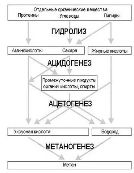 metoda anaerob