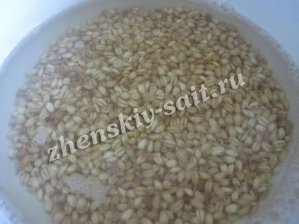 Арменски спасен (кисело мляко супа) - рецептата със снимка