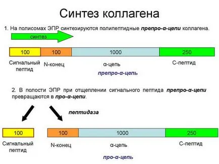 instrucțiuni de utilizare Artra și analogi