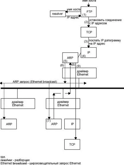 ARP protokoll címfeloldás