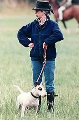 Történetek és pletykákat Bull Terrier és megjegyzések