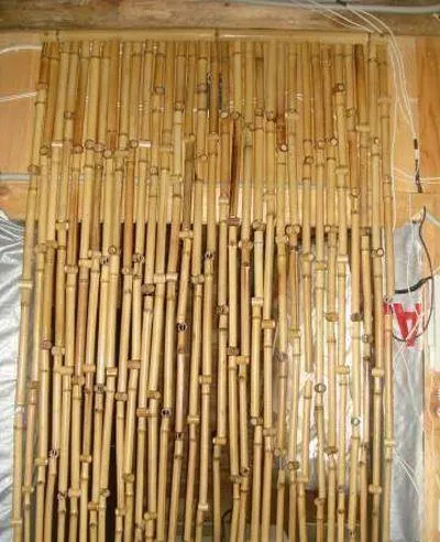 Bambusz függöny az ajtóban Photo