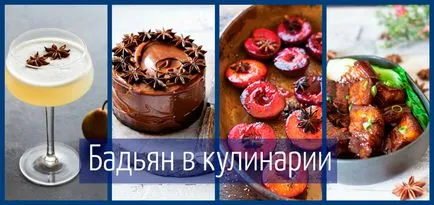 Star анасон, използвани в готвене, рецепти, характеристики, снимки