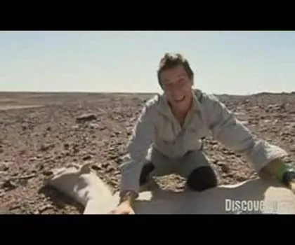 Életrajz és kétségbeesett hőstettek Bear Grylls