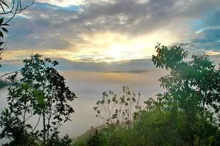 vis insula Borneo în Malaezia