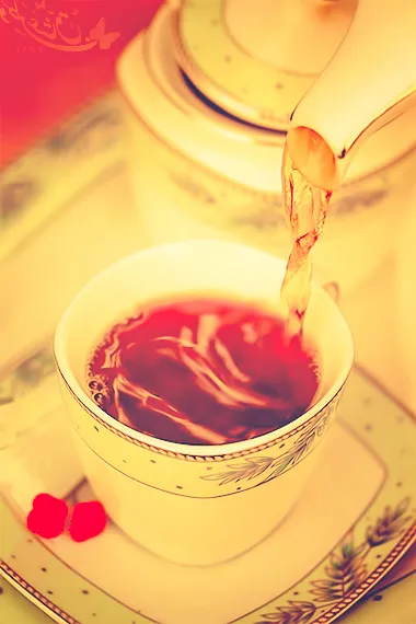 Ройбос чай полезни свойства и противопоказания