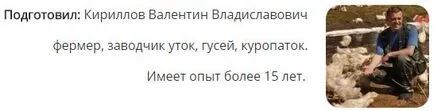 Какво да се хранят гъските, диетата в първите дни и по-късно