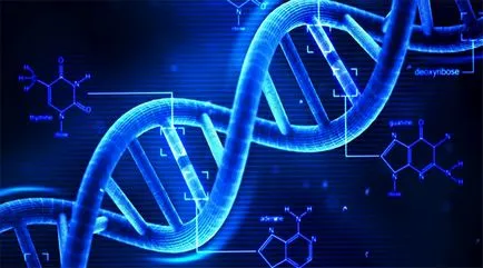 A különböző vegyületek szerkezete a DNS-t és RNS-t, mi a különbség
