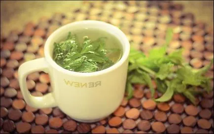Ceaiul Stevia proprietăți utile și demonstrează cum să piardă în greutate