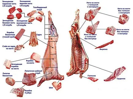 Части на кланични трупове на овце и тяхната кулинарна употреба - за развитието на овцевъдството в южната част на Украйна, Херсон