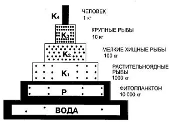 De№1 екосистема