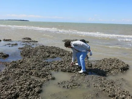 Donturistik, o vizită la Fort Boyard