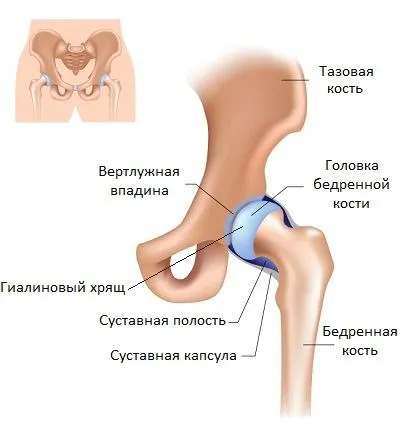 Hip artroplastie - esența operațiunii
