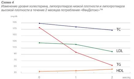 Fandetoks ™ (10 пръчки) - прегледи, инструкции, описание и използване!