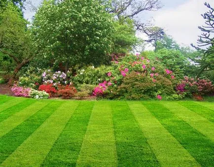 Lawn saját kezűleg, tippeket tapasztalt művezető