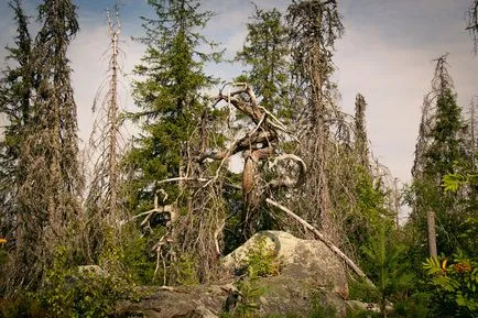 Mountain Vottovaara, Karelia