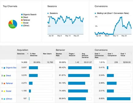 Google Analytics pentru a cunoaște sursa de trafic - burzhunete în limba rusă