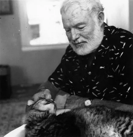 Érdekes tények az élet Ernest Hemingway