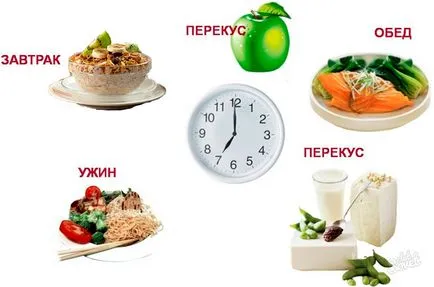 Milyen gyorsan hatalomra menü súly és fitness tippek