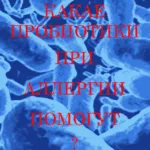 Какви са пробиотици може да помогне с алергии