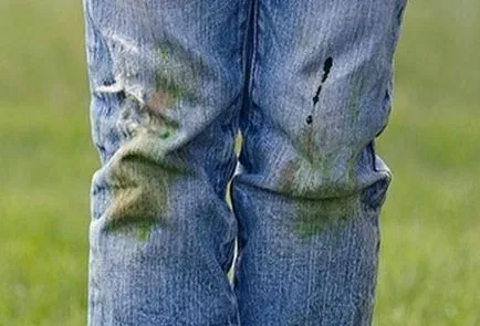Cum și ce să se spele pe iarbă, cu blugi - diferite moduri de a obține rapid scăpa de petele de pe blugi în
