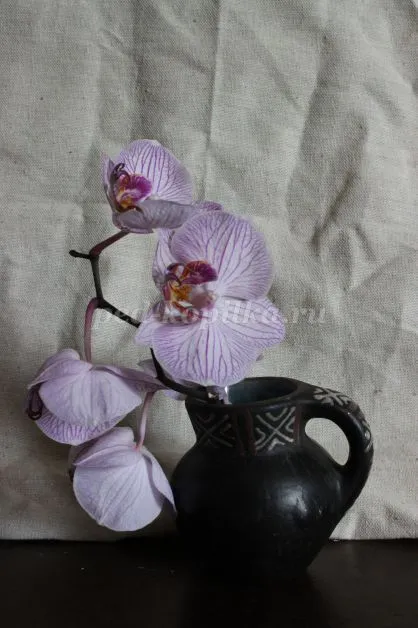 Hogyan kell felhívni lépésről lépésre akvarell orchidea