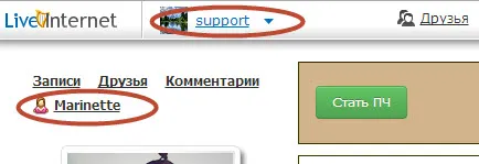 Как да смените потребителското име (името на LiveInternet на дневник)