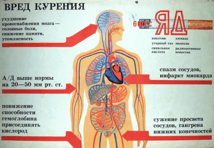 Cum afecteaza fumatul tensiunii arteriale și a vaselor de sânge ale organismului