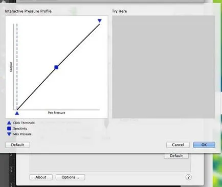 Hogyan kell helyesen konfigurálni Wacom tablettát photoshop - honlap tervezője