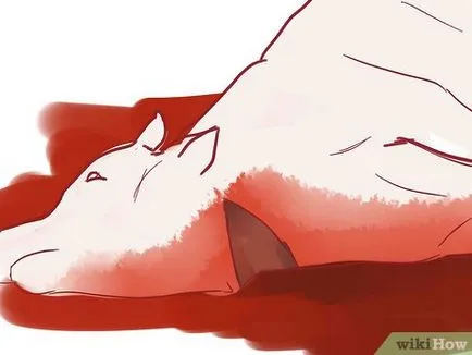 Как да се отбележи крава кошер начин shehitah