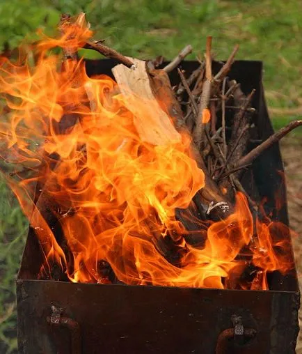 Cum de a găti un picnic delicios în natură - un simplu pas cu pas foto-reteta de pui