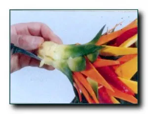 Как да си направим петел на плода или зеленчука, за да украсят салати